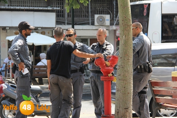 taizer gun 821 (3).JPG